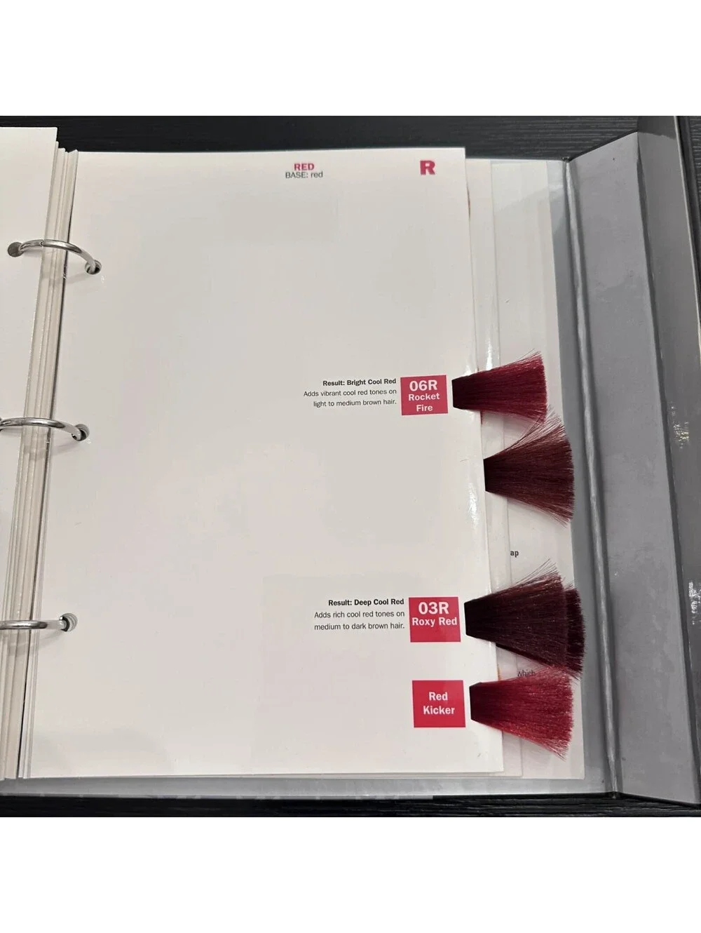 Redken Shades EQ Equalizing Conditioning Color Gloss Salon Swatch Book EUC